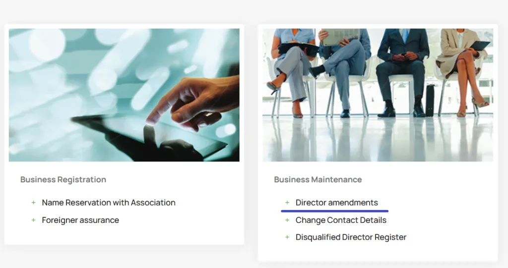 director amendments