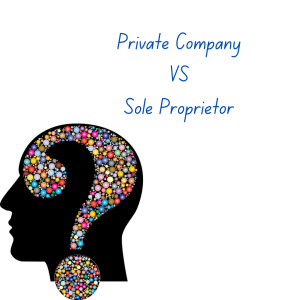private company sole proprietor