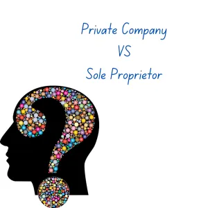 private company sole proprietor